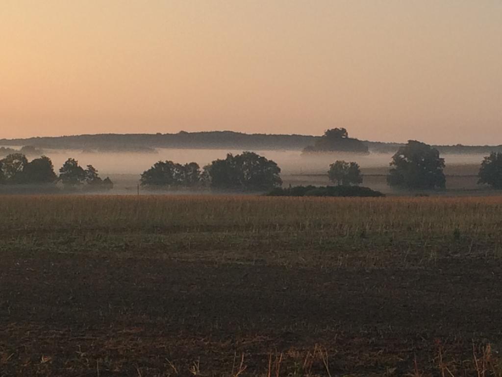 Gaestehaus Am Fischerweg Lauterbach  Buitenkant foto